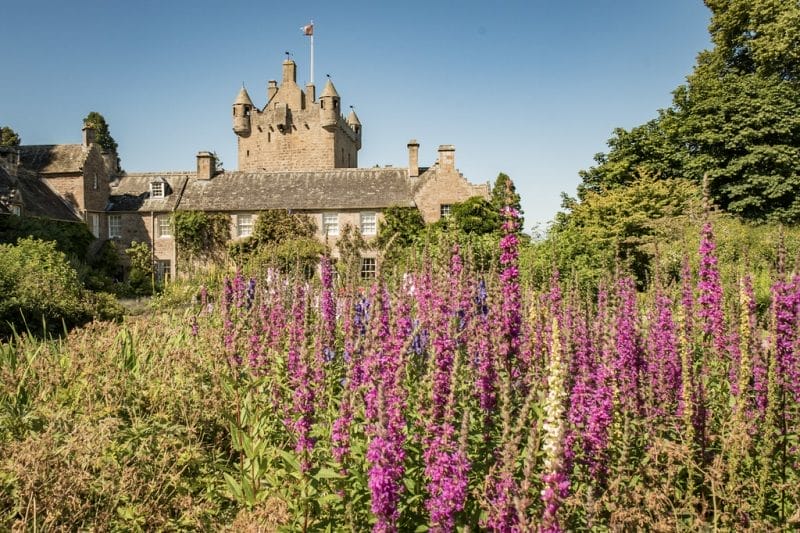 Gardens of the Highlands - Aigas Field Centre