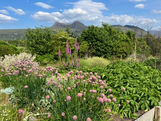 Gardens of the Highlands - Aigas Field Centre