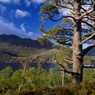 Beinn Eighe